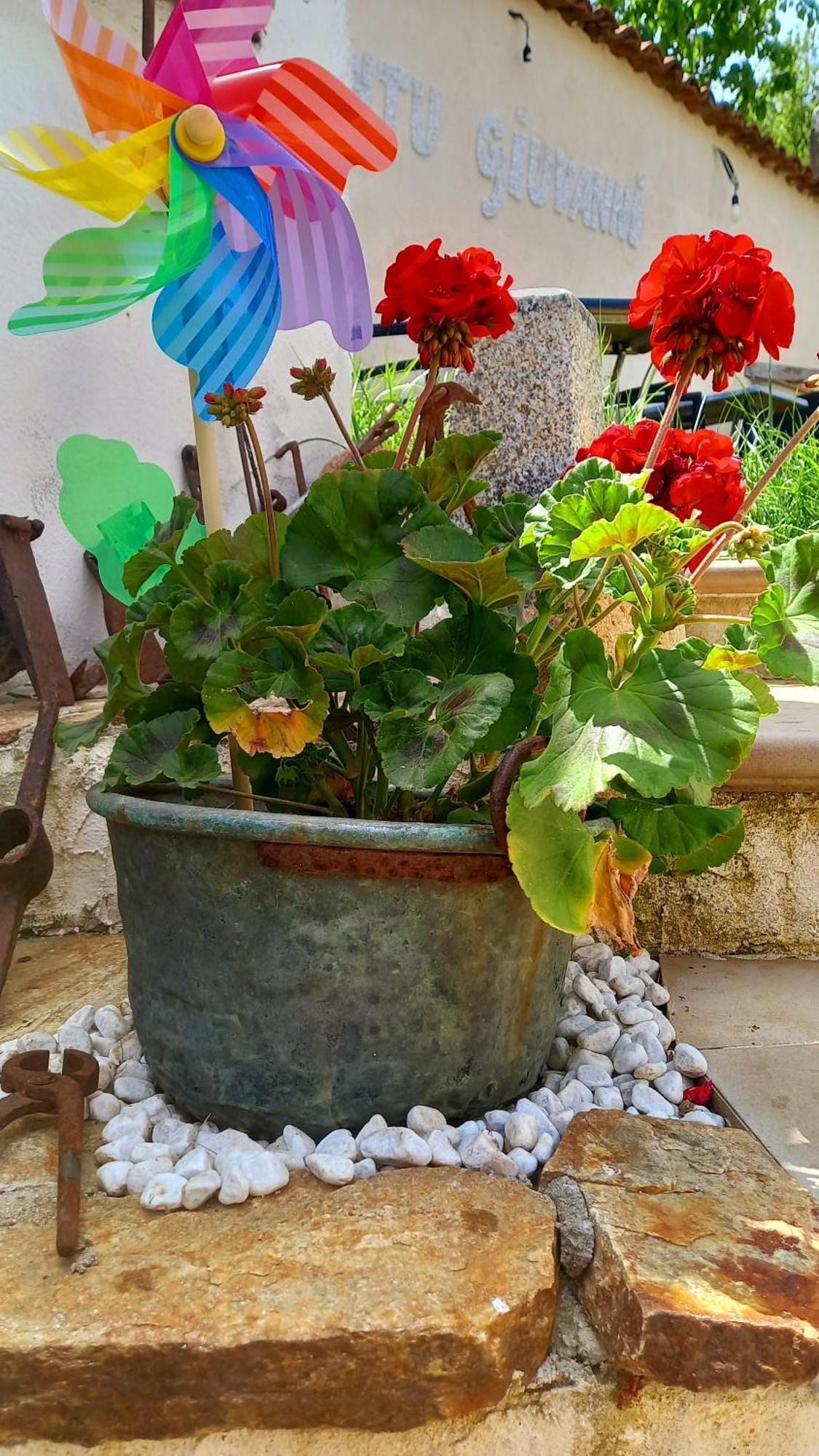 "B&B Santu Giuvanni" Fonni Εξωτερικό φωτογραφία